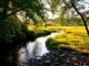 Drentsche Aa