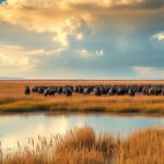 Oostvaardersplassen