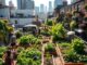 Urban Gardening