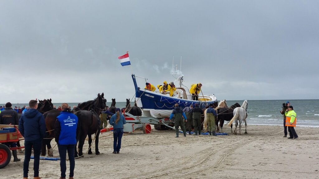 Pferde ziehen das Rettungsboot bei Hollum am Strand von Ameland ins Wasser