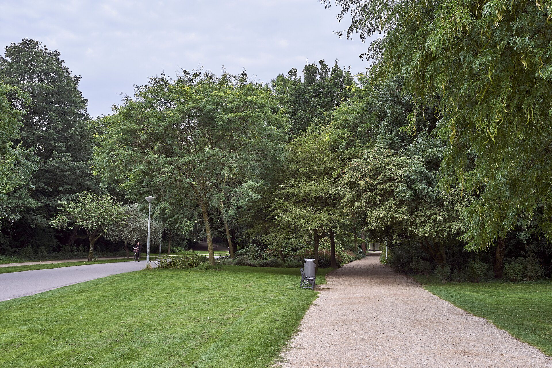 Spazierweg unter alten Bäumen im Amsterdamer Vondelpark
