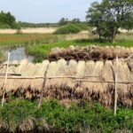 Nationalpark Weerribben-Wieden: Schilflandschaften und Wasserdörfer Aufgestapelte Schilfbündel in De Wieden im Nationalpark Weerribben-Wieden