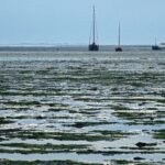 Die Wattenmeerinseln: Naturraum zwischen Ebbe und Flut Trockengefallenes Watt mit Segelbooten bei Niedrigwasser vor Schiermonnikoog