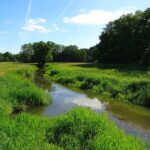 Die Bäche von Drenthe: Natur an der Drentsche Aa Mäandernder Oudemolensche Diep im Nationalpark Drentsche Aa im Frühsommer