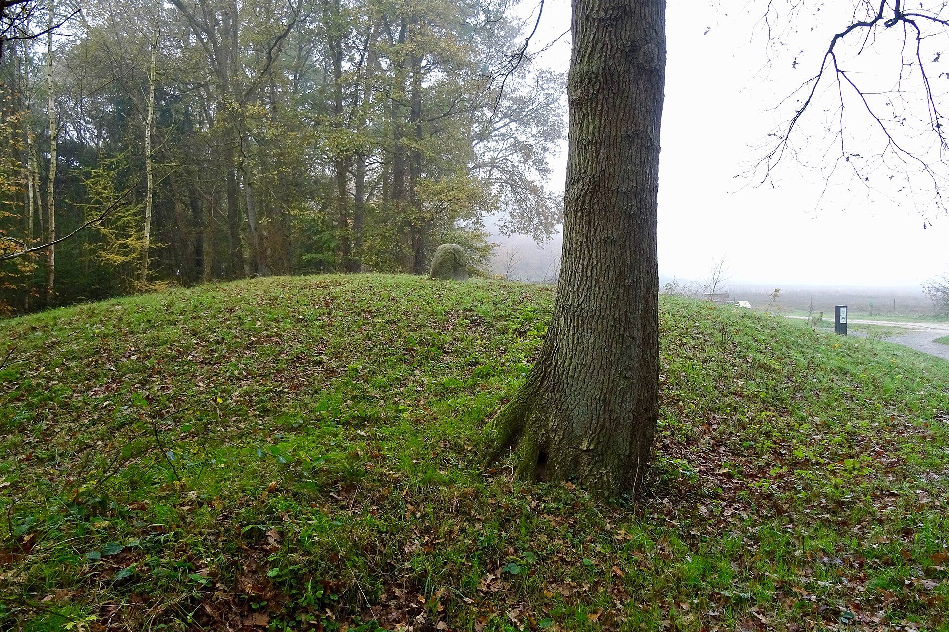 Prähistorischer Grabhügel im Waldgebiet De Strubben-Kniphorstbosch in Drenthe