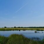 Das Dwingelderveld: Größtes feuchtes Heidegebiet Westeuropas Moorsee zwischen Heide und Gras im Nationalpark Dwingelderveld in Drenthe