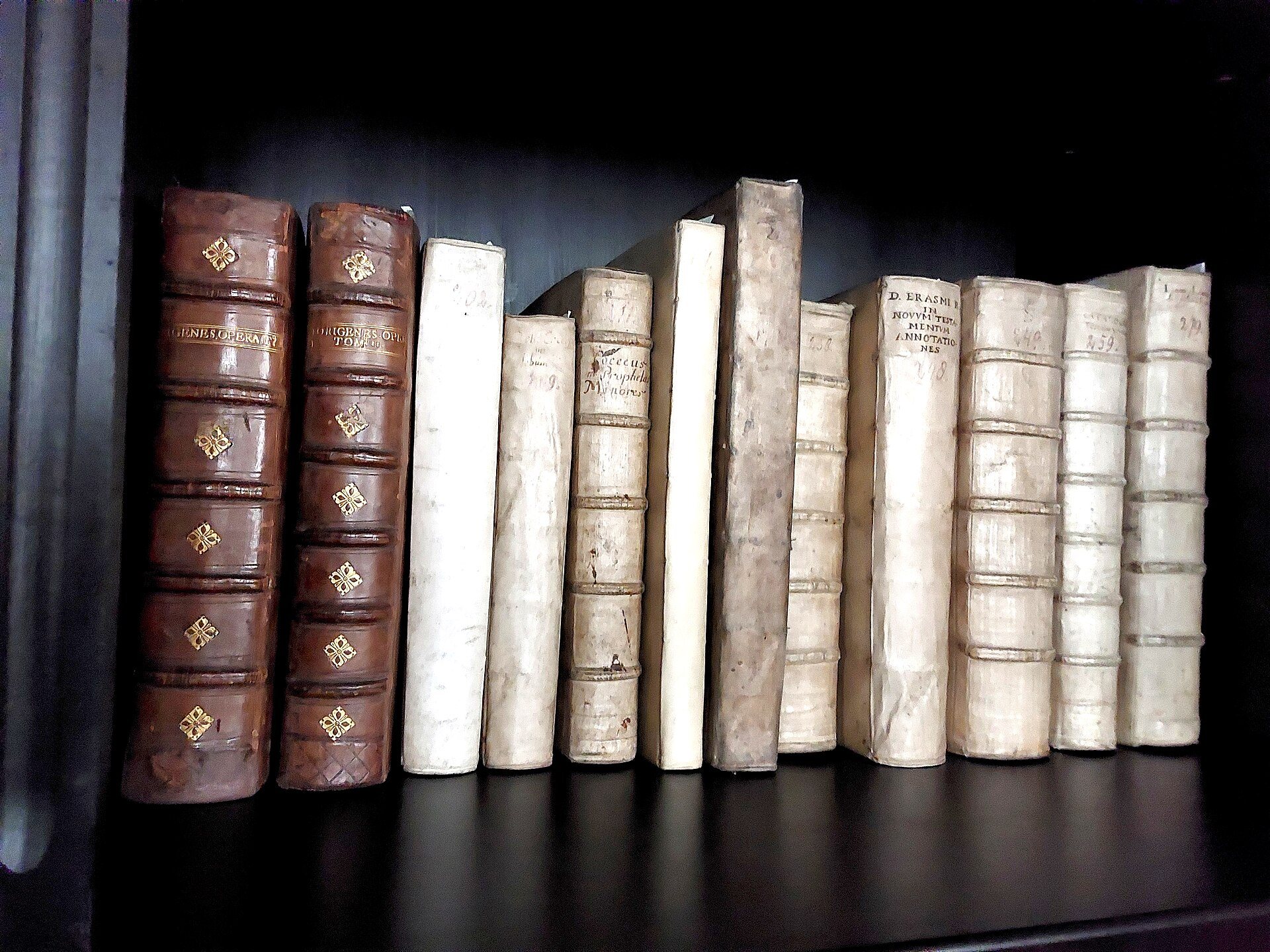 Alte ledergebundene Bücher im Regal der Librije, der Kettenbibliothek in Zutphen