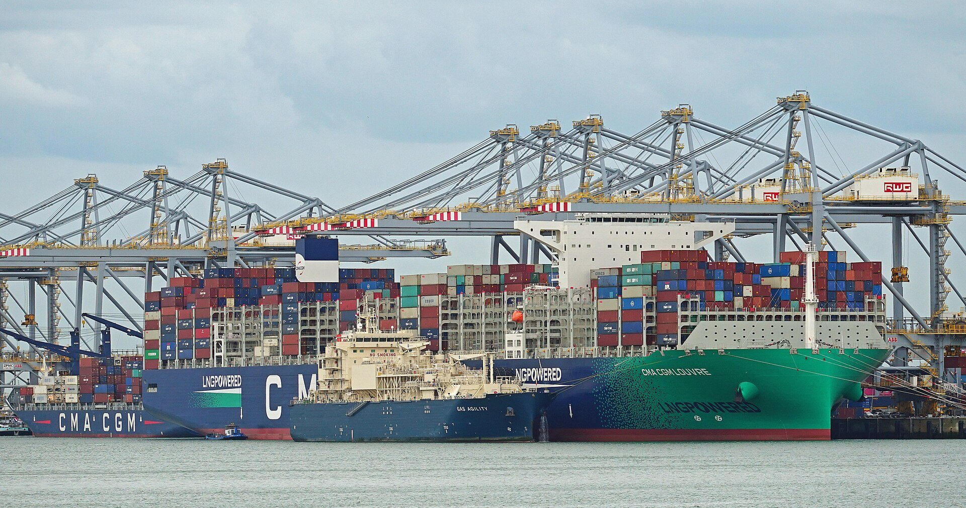 Containerschiffe an den Kränen eines Containerterminals im Hafen Rotterdam