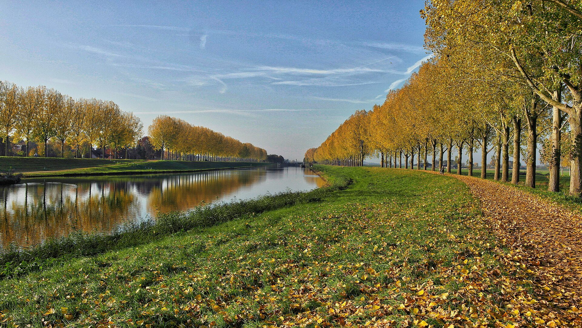Herbstlich gefärbte Baumreihe am Ufer der kanalisierten Dieze in Nordbrabant