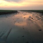 Niederländische Folklore: Sagen und Legenden Priel im Verdronken Land van Saeftinghe bei Niedrigwasser und Sonnenaufgang