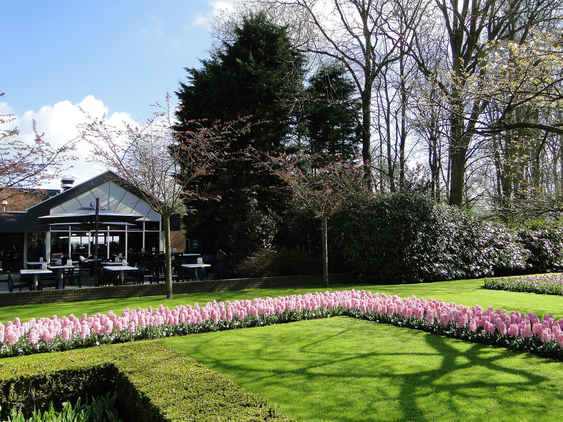 Tulpenbeete im Keukenhof in Lisse
