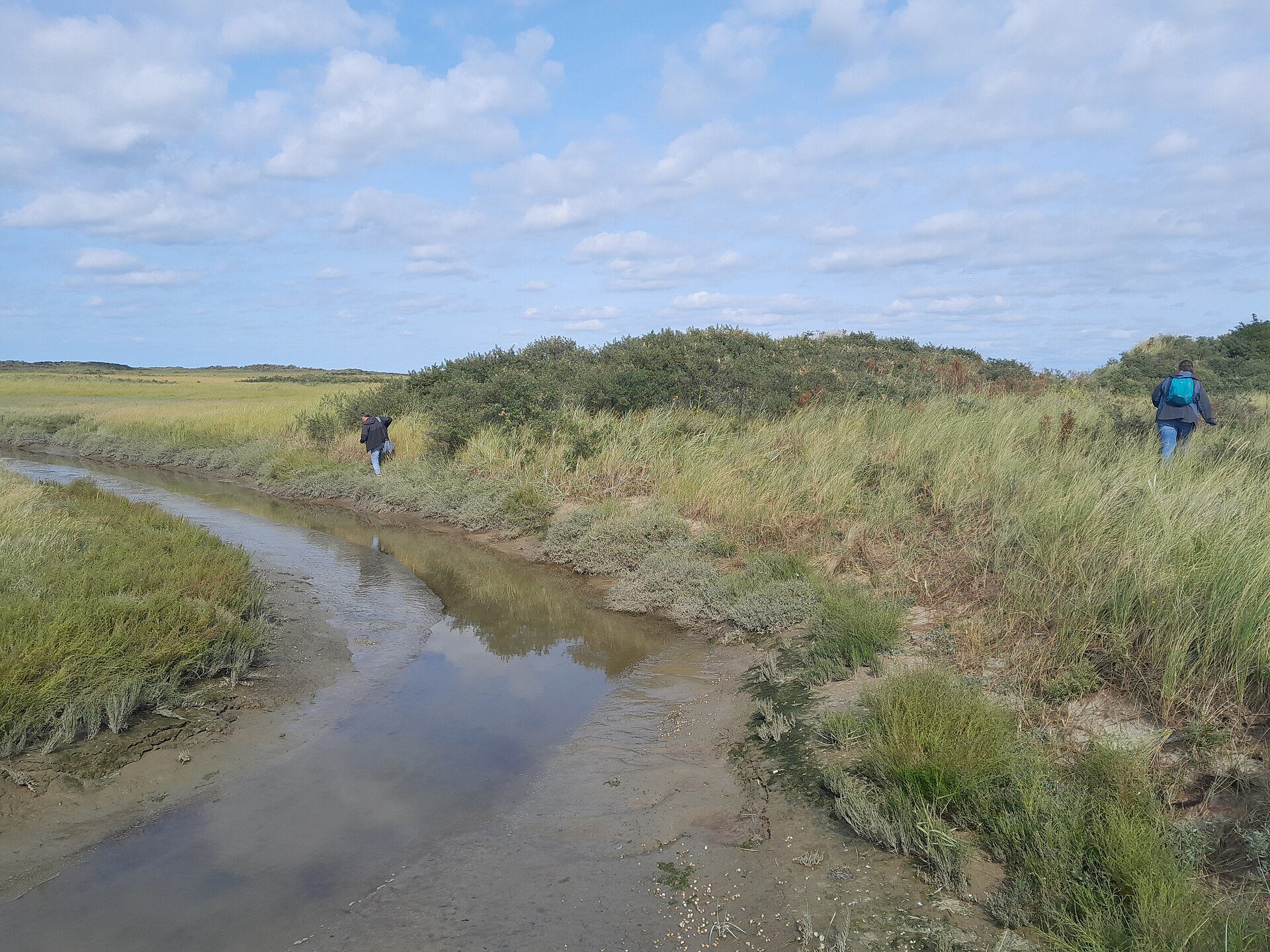 Salzwiesen am Ostende der Watteninsel Schiermonnikoog