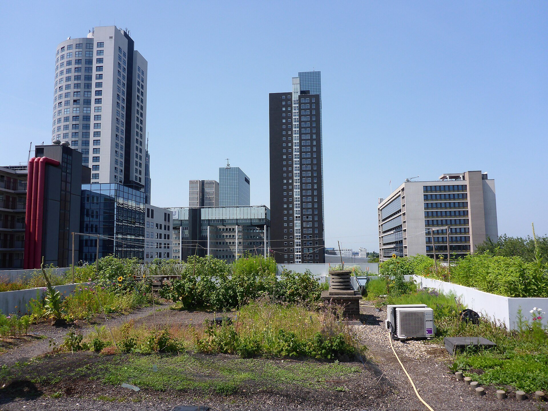 Gemüsegarten auf dem Dach des Schieblock vor der Skyline von Rotterdam