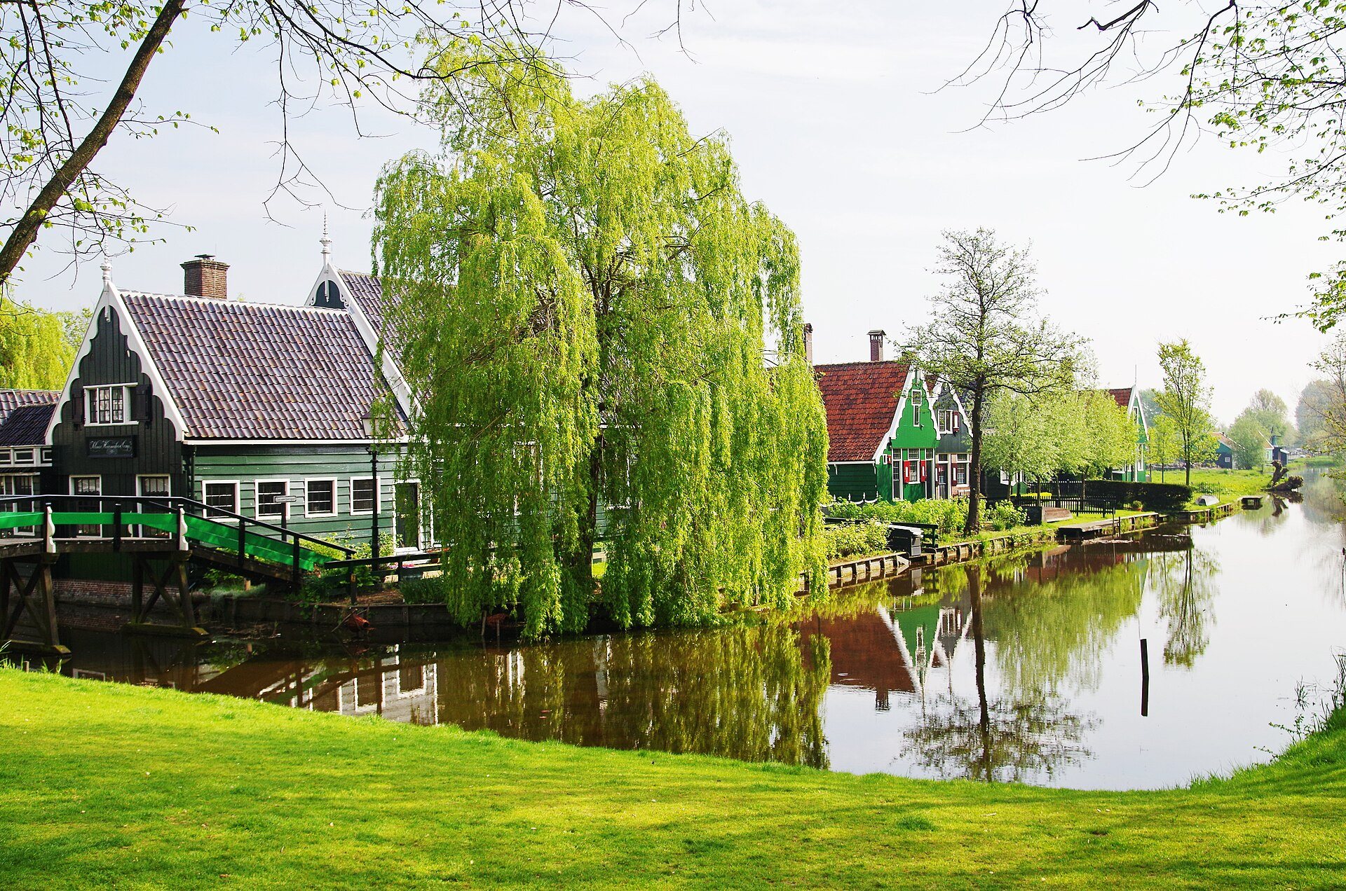 Grüne Holzhäuser, Trauerweide und Brücke am Wasser in der Zaanse Schans
