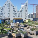 Urban Gardening & Grüne Initiativen in niederländischen Städten Hochbeete eines Stadtgartens vor modernen Wohnhäusern in den Niederlanden