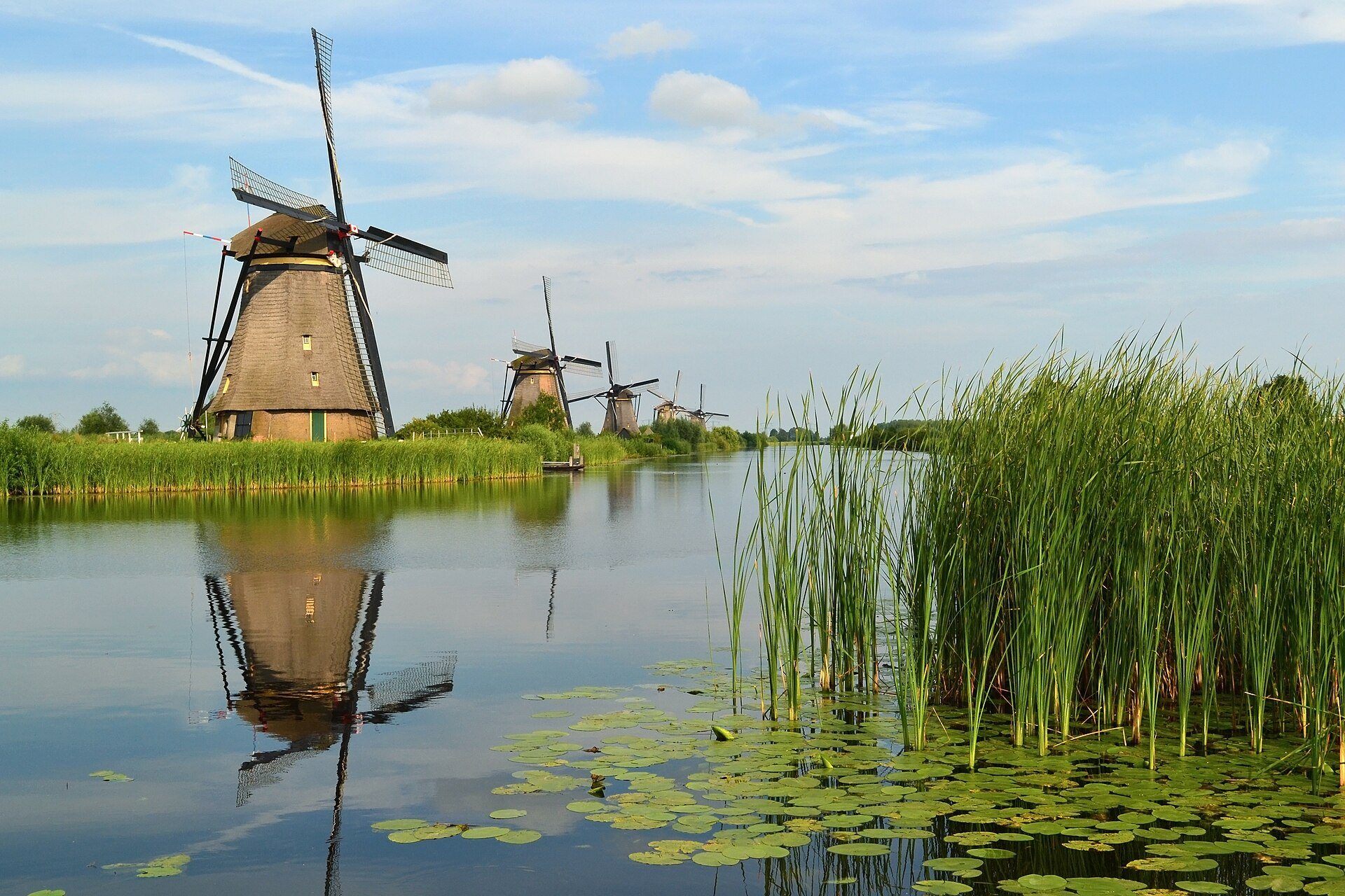 Windmühlen von Kinderdijk spiegeln sich im Wasser des Poldergrabens
