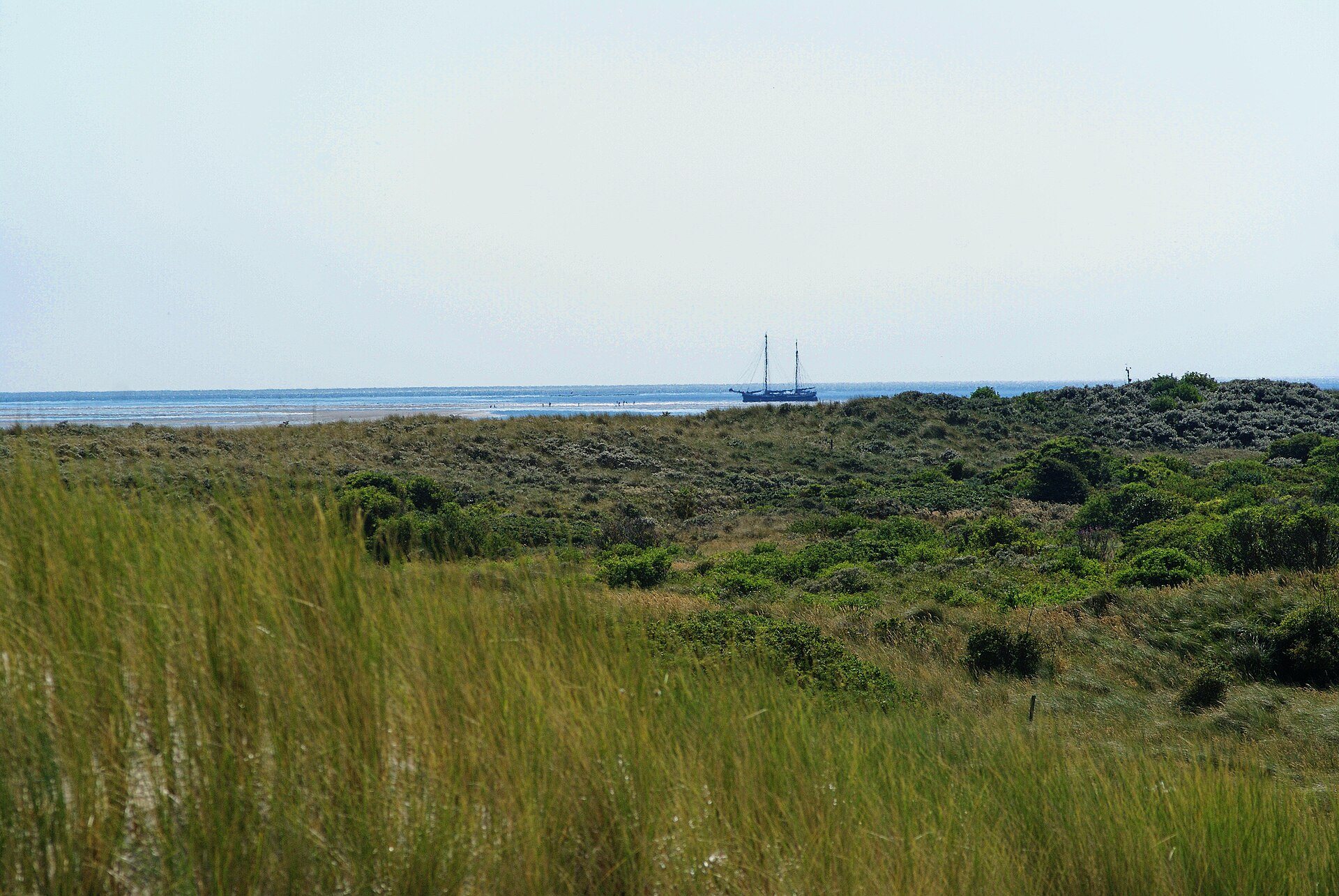 Dünenlandschaft am Fortweg auf Vlieland mit Blick aufs Wattenmeer