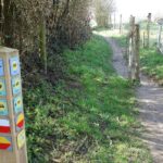 Wandernetzwerke (Knooppunten): So funktioniert die Routenplanung zu Fuß Wanderknotenpunkt 99 an der Kreuzung von Krijtlandpad und Pelgrimspad im Gerendal