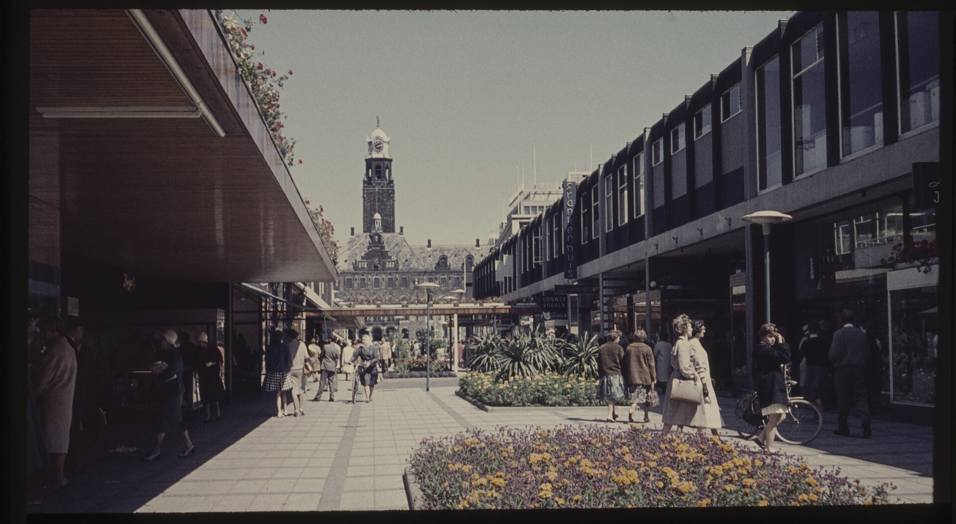 Korte Lijnbaan mit Blumenbeeten und Rathaus in Rotterdam im Jahr 1961