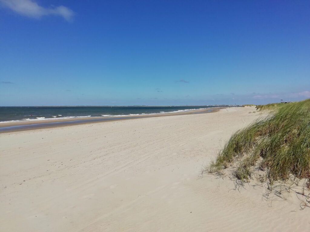 Weiter Sandstrand von Renesse mit Dünen und Nordsee bei blauem Himmel