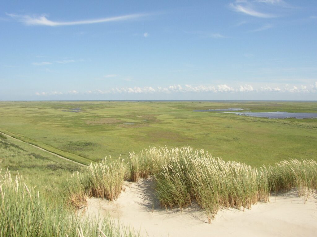 Blick von den Dünen über das Naturgebiet Boschplaat im Osten von Terschelling